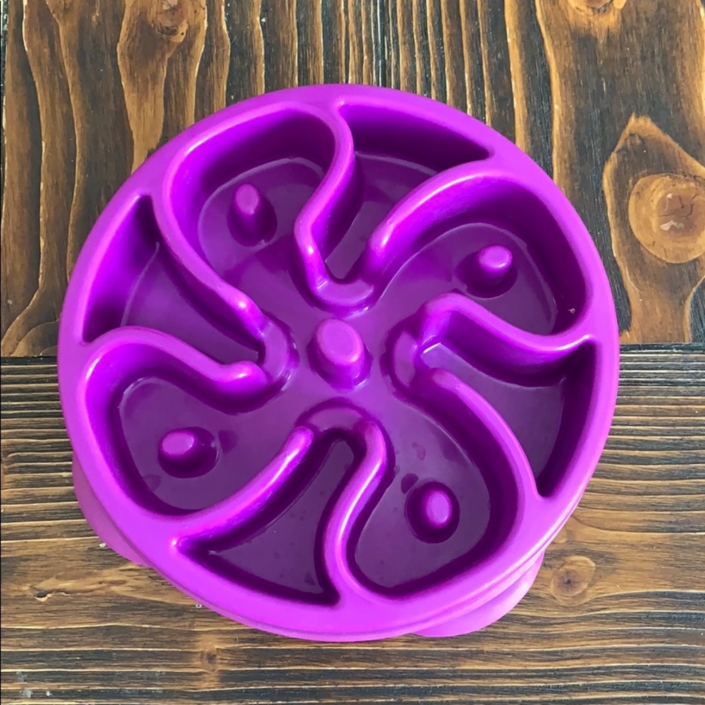 Slow feeder dog bowl